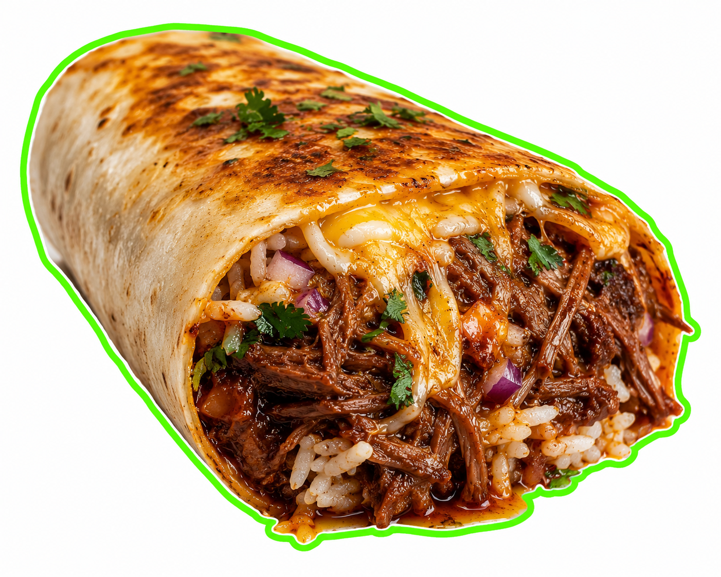 Birria Burrito